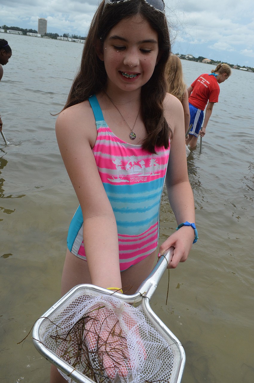 Alexis Sullivan catches a needlefish.