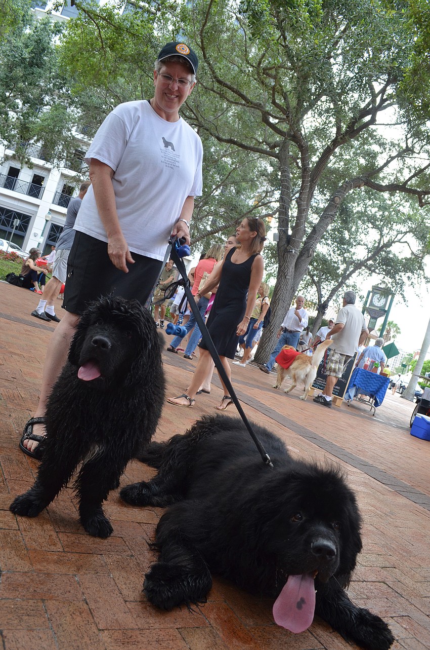 Kate Kohler brings her 5-year-old Newfoundland, Max, and 16-week-old Newfoundland, Gus, to the farmers market almost every Saturday.
