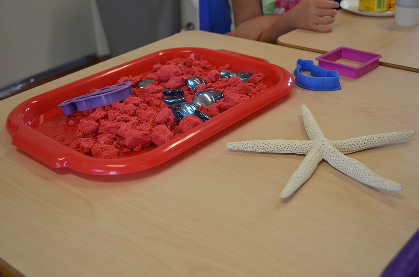 Ashlyn Dobsonâ€™s 4-year-olds will be making sand dollars on their first day back to pre-school.