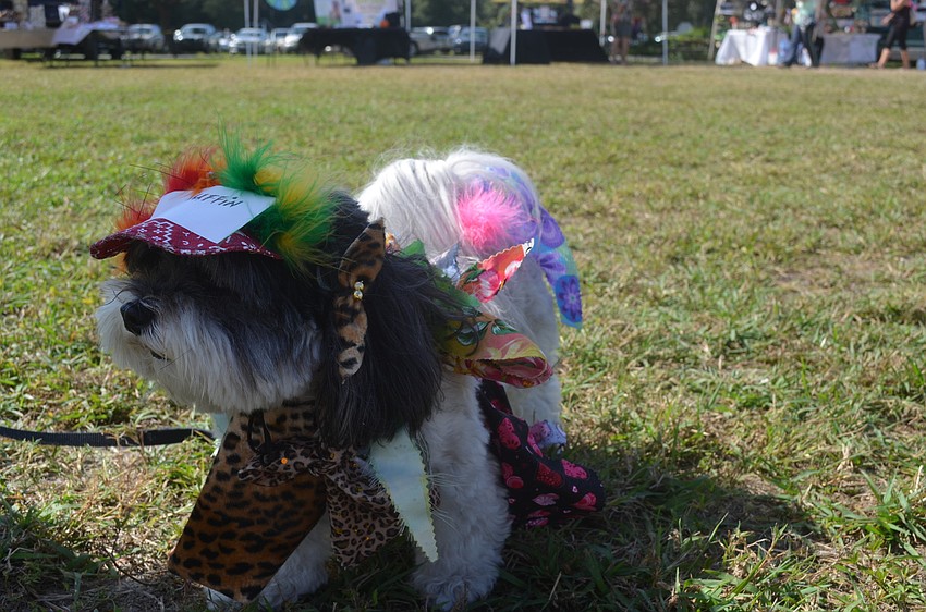 Angel came as a ragamuffin