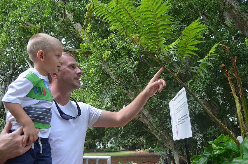 David Coffee and his son, Nick, explore the rainforest.