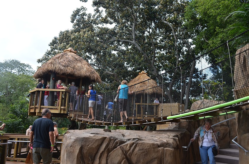 The rainforest has two tree top bridges