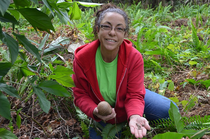 Barbara Carol found air potatoes of all sizes.