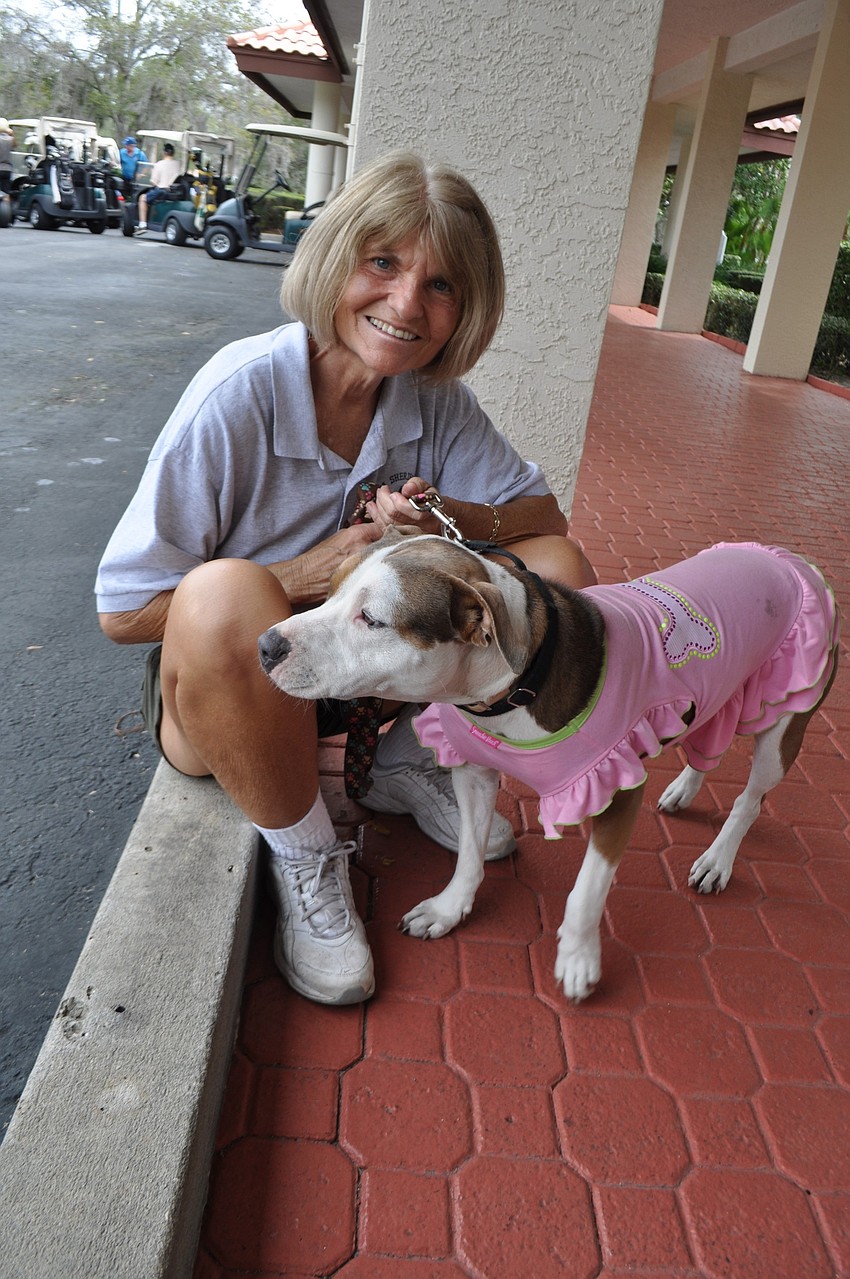 Joan Stahlman, a volunteer with the Sheriff's County Animal Services, shows off Jasmine, a dog available for adoption.