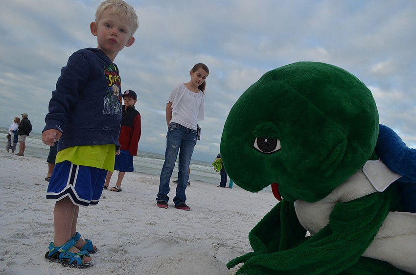 Logan Amudson contemplates building a sand castle with Shelly the Turtle.