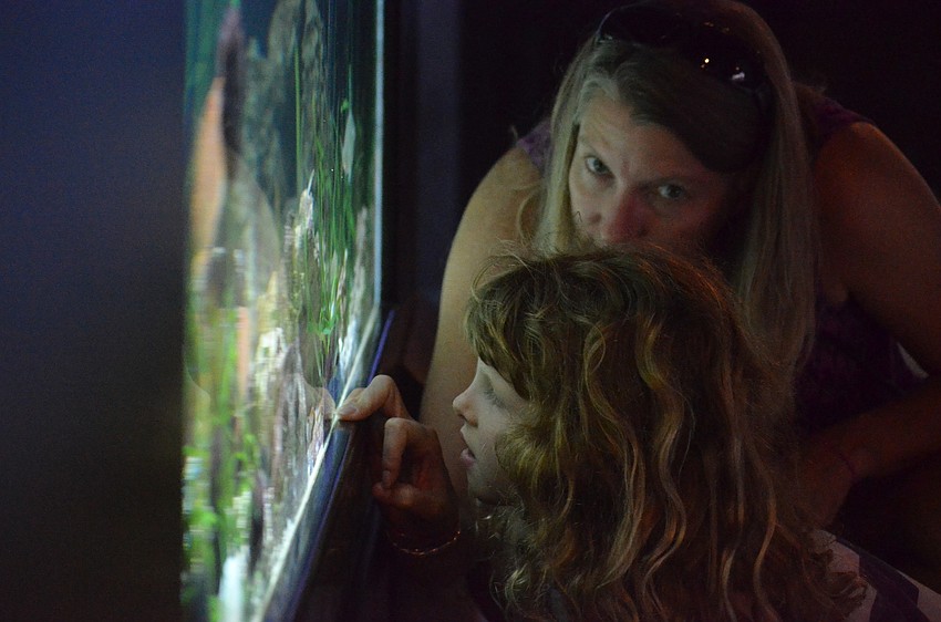 Amy Sauter examines the fish with her daughter Claire, 5, at Mote.