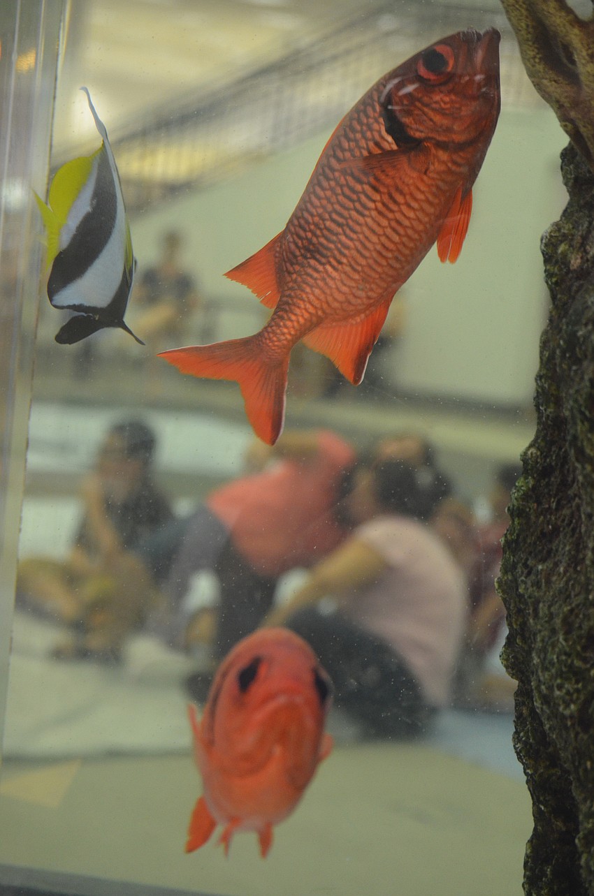 Children watched the Scott Humston magic show as part of a grant from the Steinwacks family for the summer reading program.