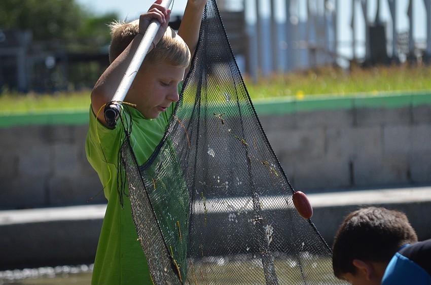 Ben Gansle, 10, looks to see what he caught in the trolling net.