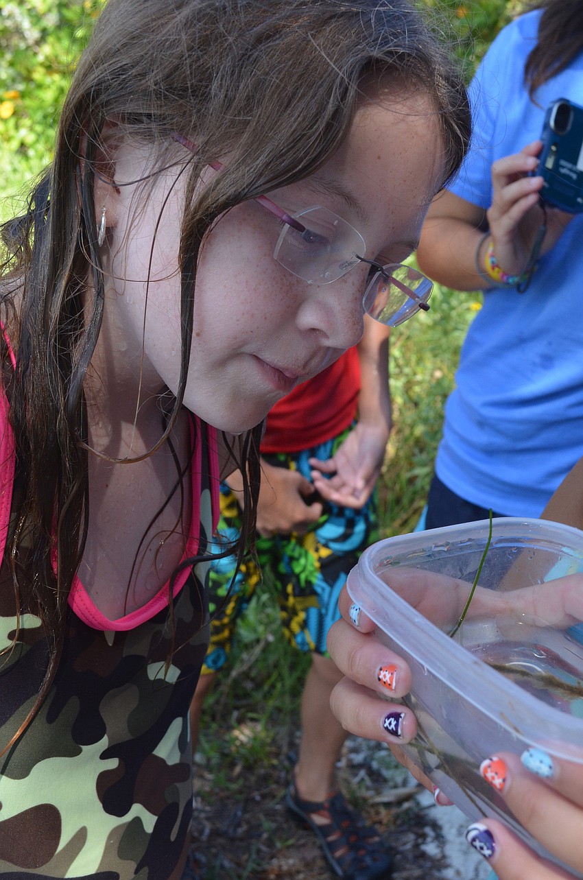 Kayla Silverman, 11, examines the seahorse Kalie Deavaney, 11, caught.