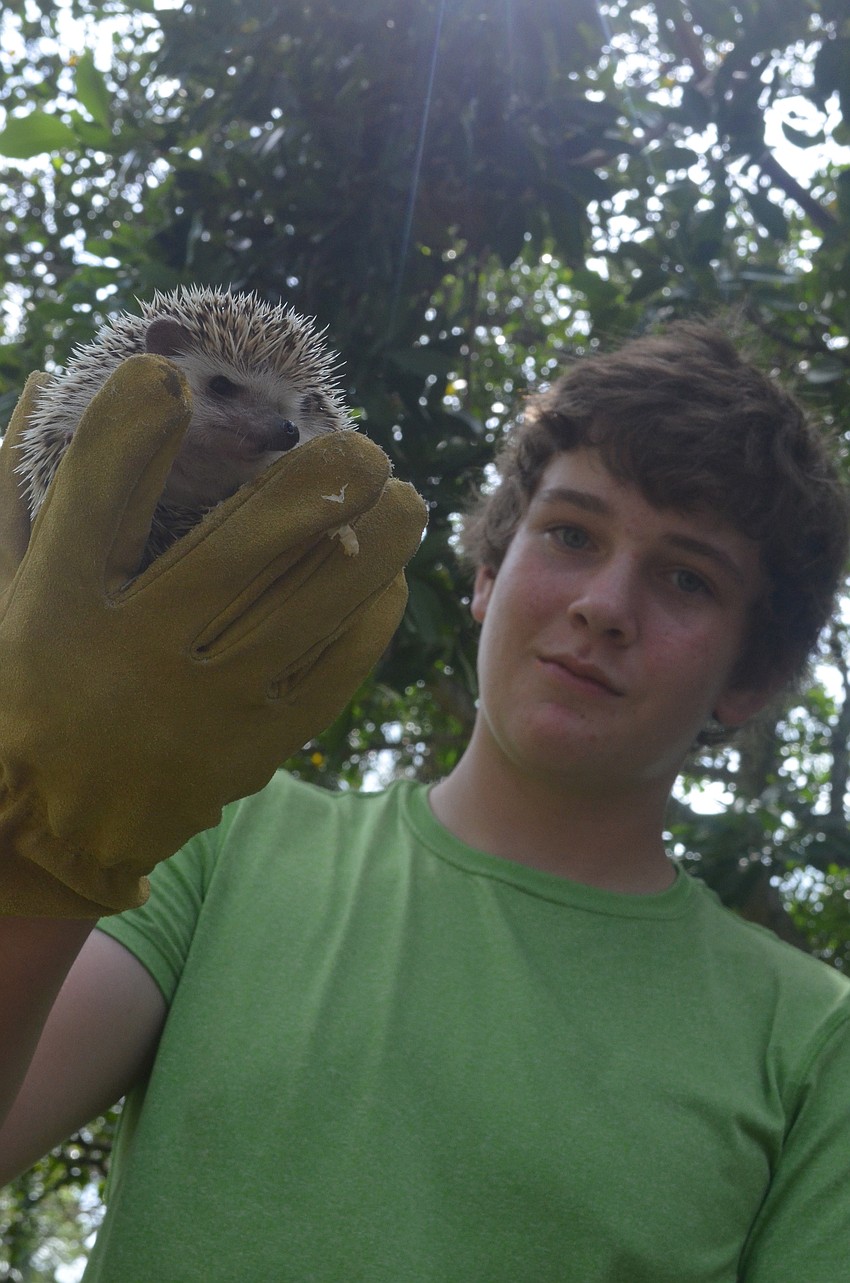 Mathew Pitchford, 13, got his African Pygmy hedgehog, Dobin, blessed.