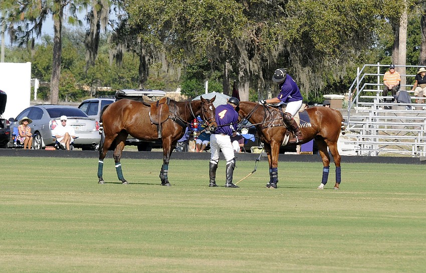 Siaanaâ€™s Shane Rice untangles his and a teammates horse during the first chukker.