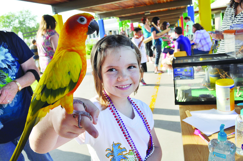 Natalie Palmer holds Fruit Loop at Bashaw Elementary's annual Art & Music Festival May 10.