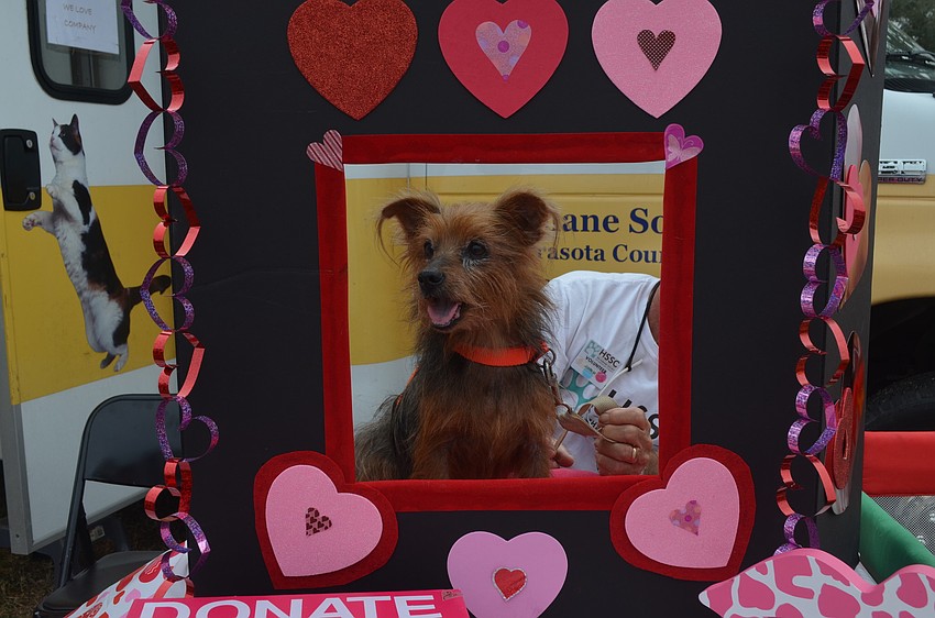 Sushi looks for love at the kissing booth.