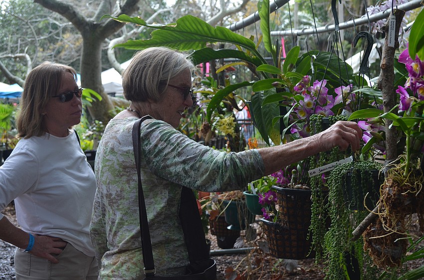 Nancy Ericson and mother, Mitzi Seitch, browse the plant sale.
