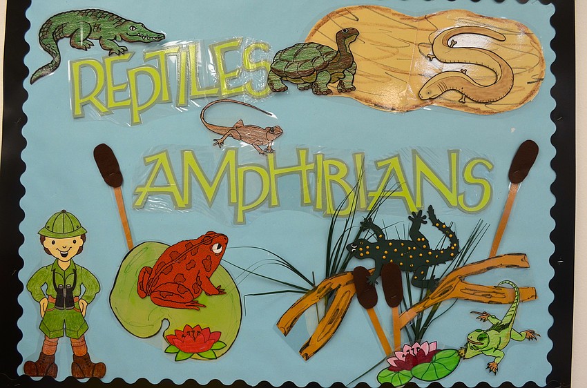 As part of the schoolâ€™s reptiles and amphibians unit, students learn about Floridaâ€™s wildlife.
