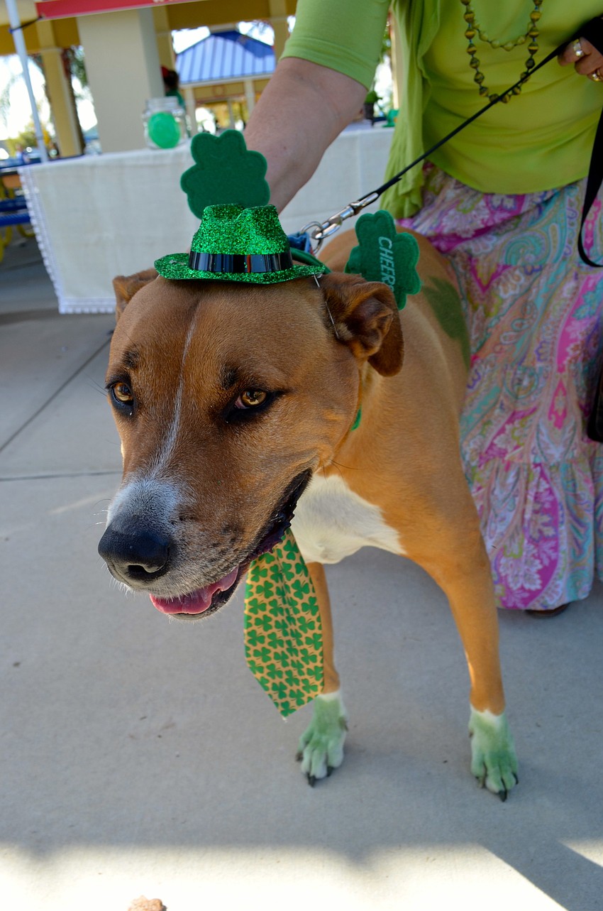 Ralph shows off his Irish-themed outfit.