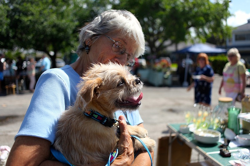 Dorothy Chlad plays with Oliver as his owner, Jane Rebholz, shops.