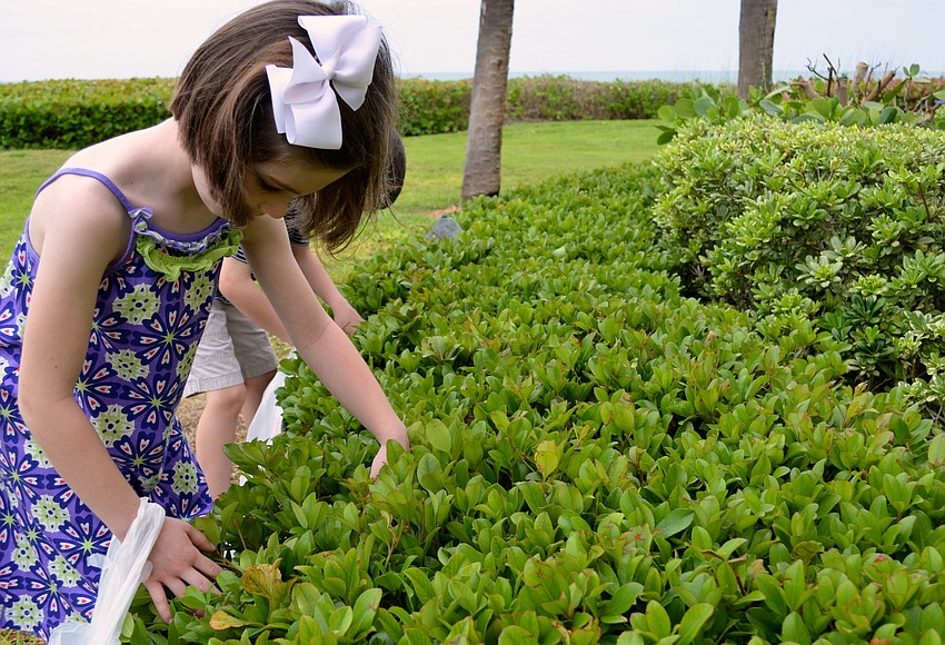 Megan Moore looks for eggs in the bushes.