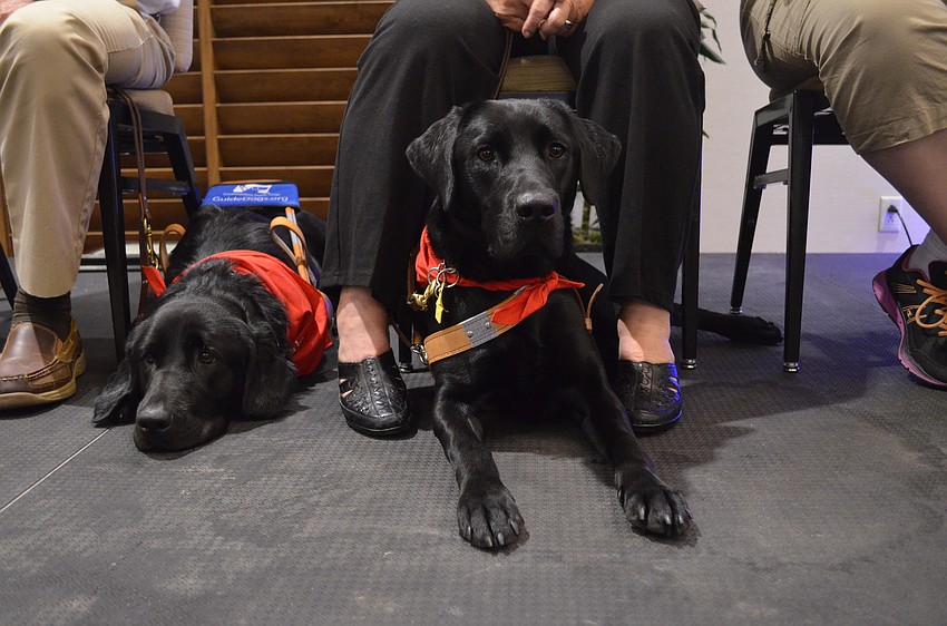 Guide dog Billy relaxes before the ceremony.