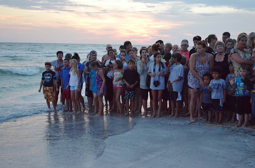 The line of spectators extends into the ocean as they wait to watch the turtles get released.