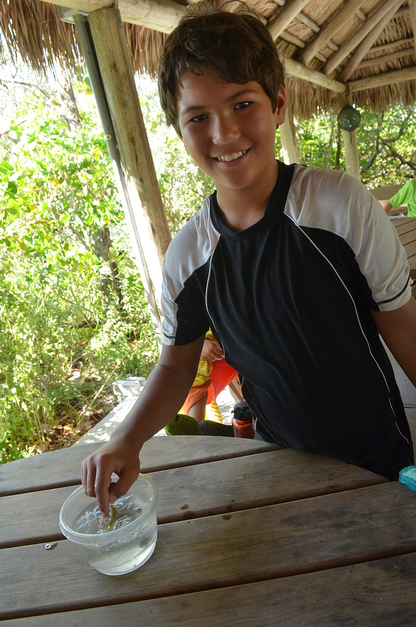 Eric Hvideberg, 11, examines a pinfish.