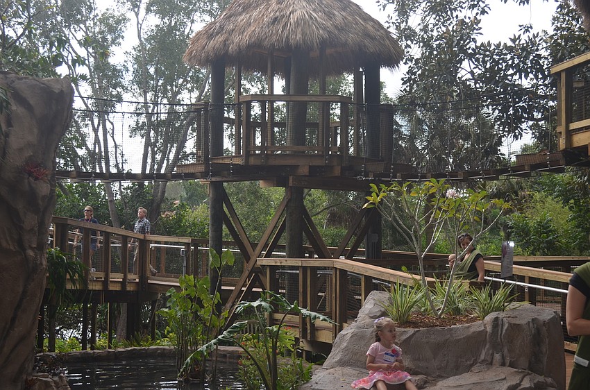 Two rope bridges let visitors feel like they're up in the trees