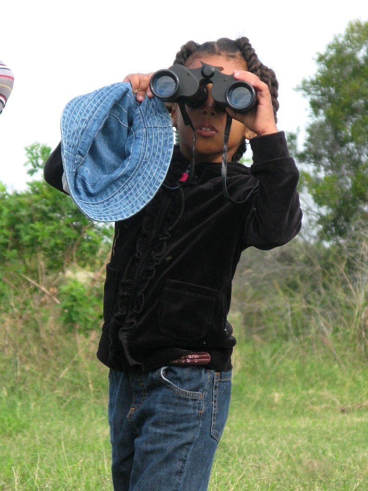 217 recorded species of birds reside or migrate to Celery fields every year