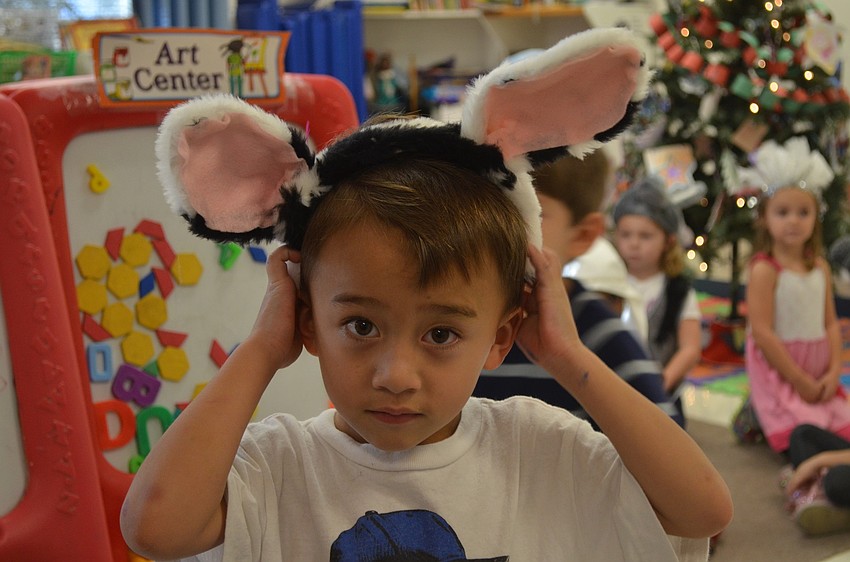 Maddox Yeung as a cow