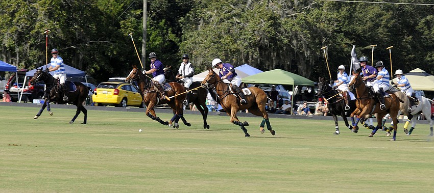 Siaana defeated the Ocala Polo Association in an exhibition match Dec. 15, at the Sarasota Polo Club.