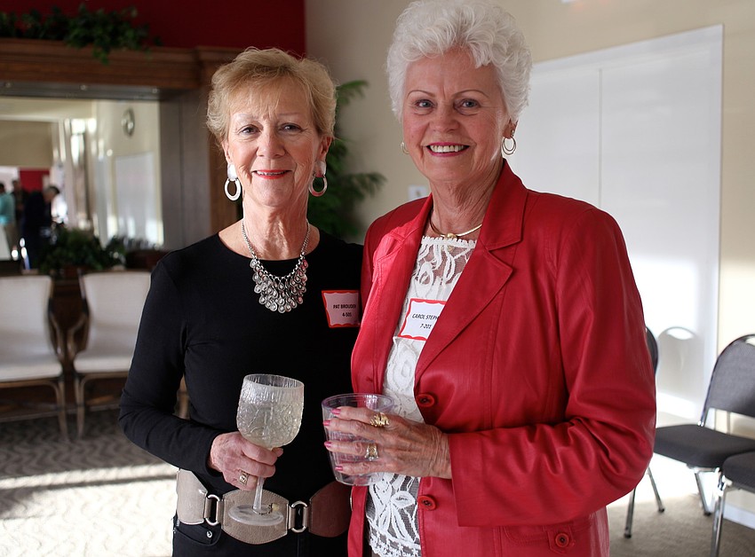 Pat Brouder and Carol Stephani