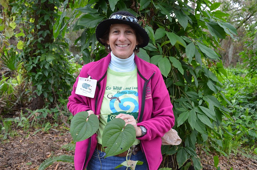 Karen Fraley from Around the Bend Nature Tours holds an air potato vine to show its heart-shaped leaves.