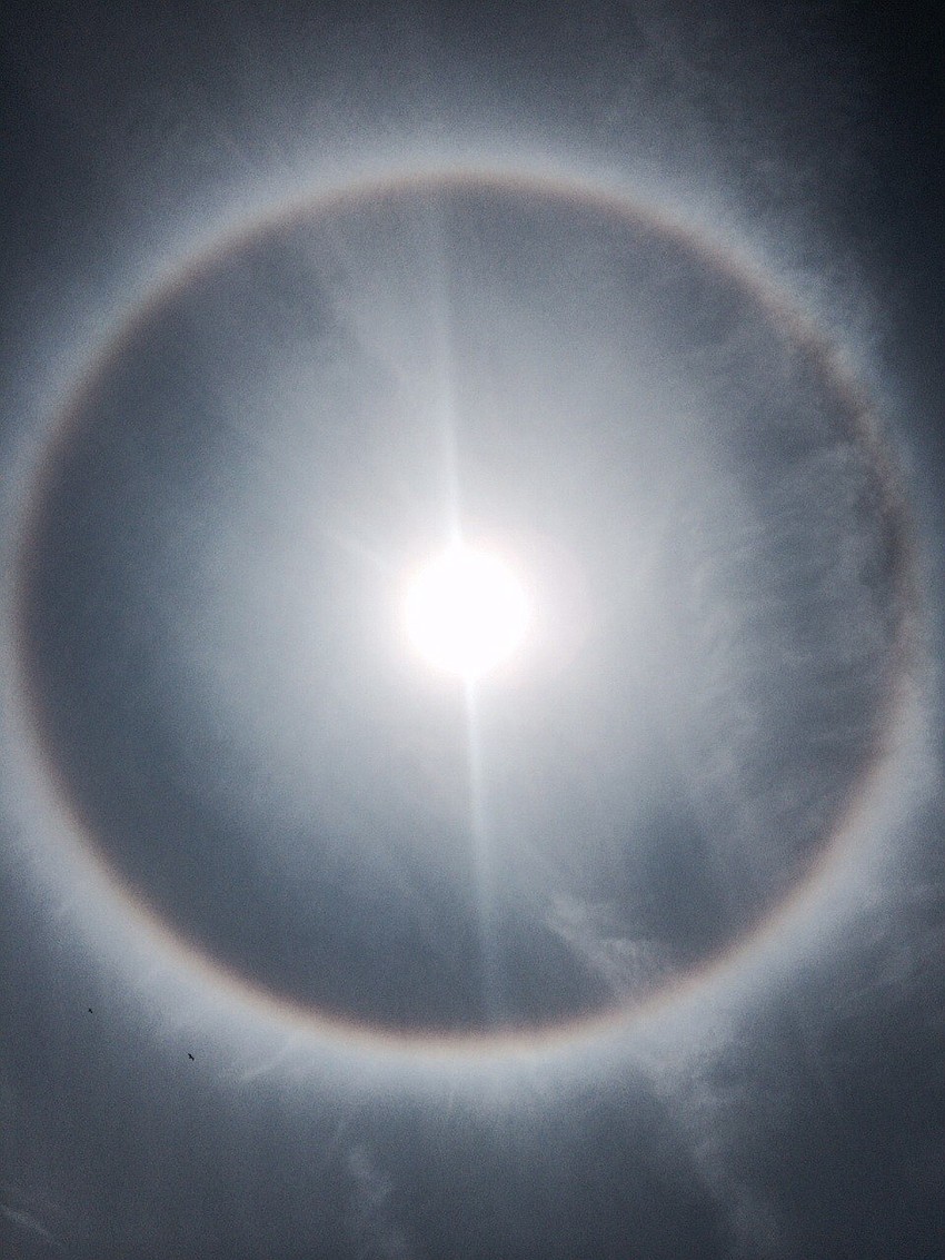 Donna Euston submitted this photo of the sun halo.