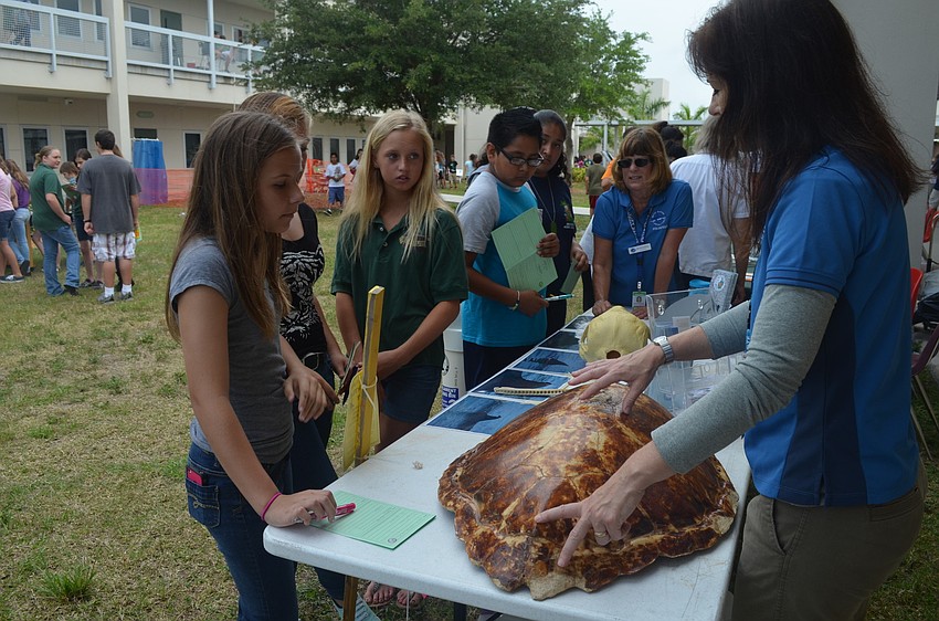 Macy Kauhn and Lauryn Dougherty learn about sea turtles.