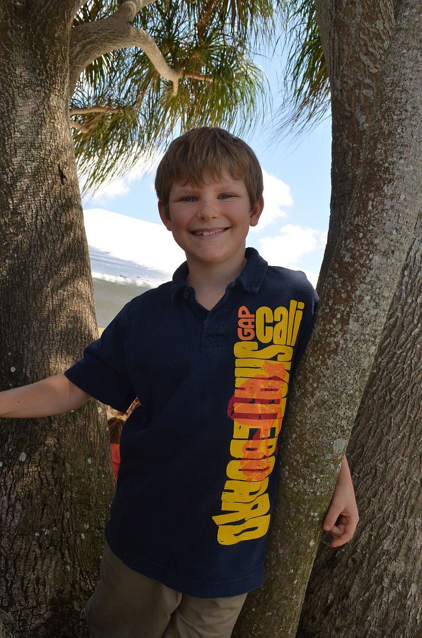 Broc Hudson, 8, climbed a tree at Spanish Point.