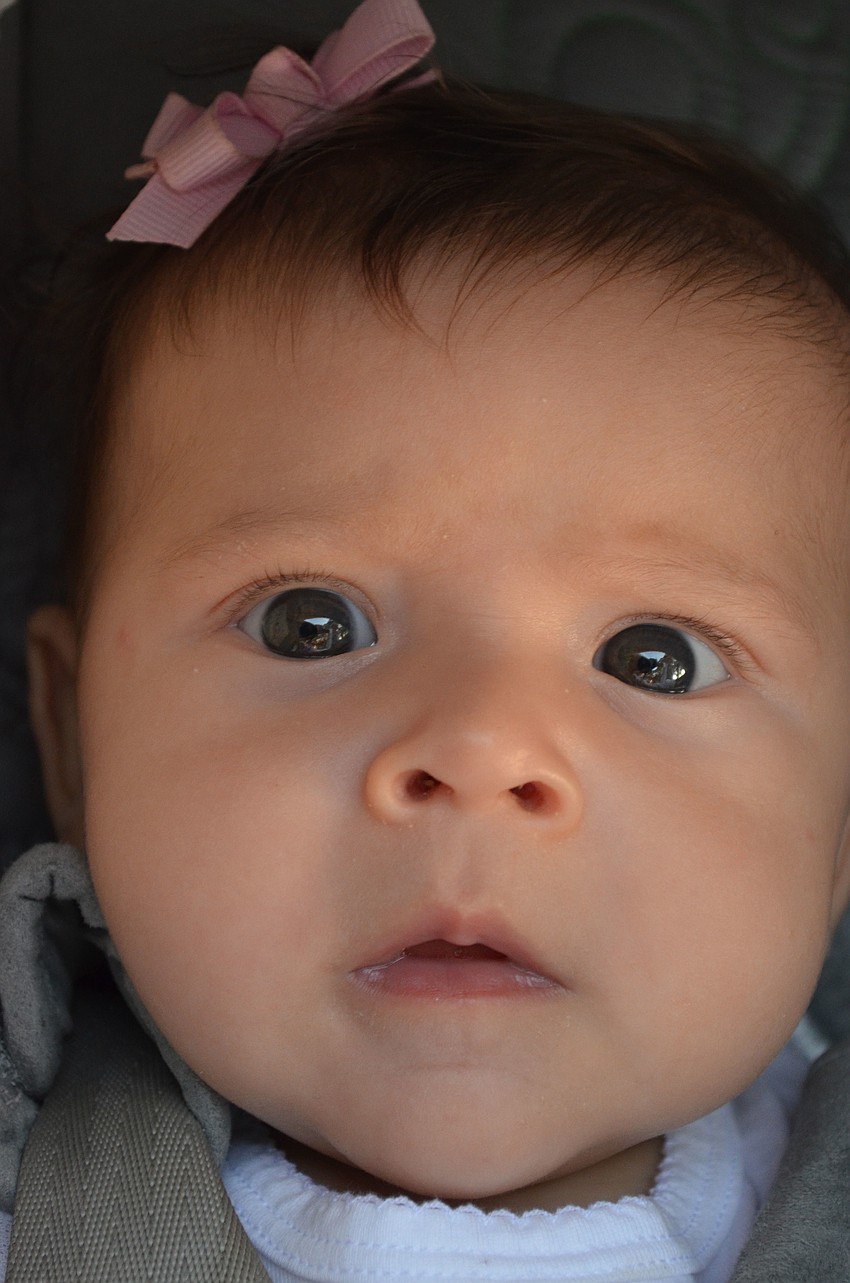 Three â€“ month - old Jessica Toman came to her older sister, Alexandraâ€™s graduation.