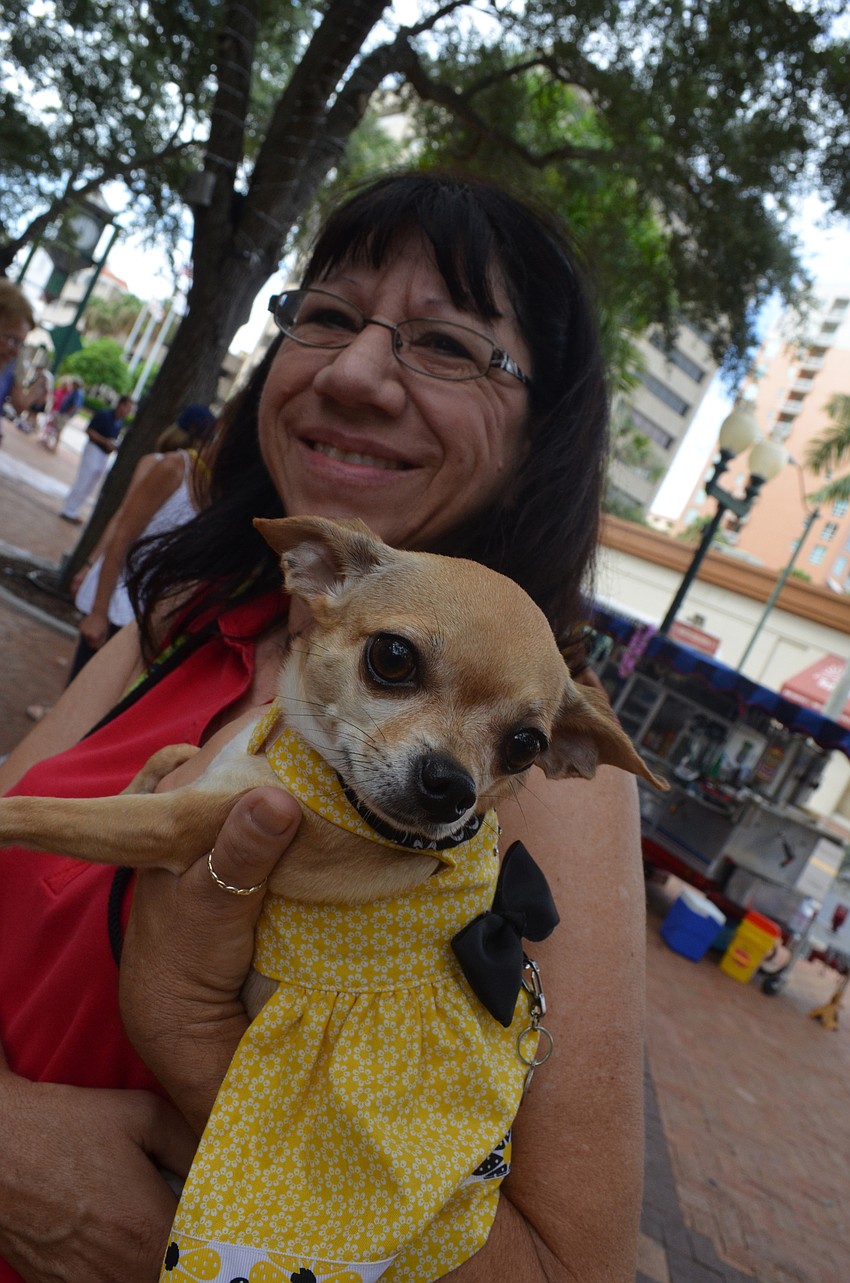 Chris DeLuna dresses her Chihuahua, Dixie, in a yellow sundress.