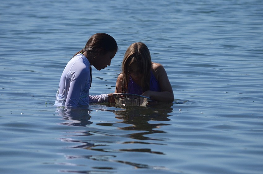 Halina Santos, 11, and Faith Moore, 10, look to see what they caught in their net.