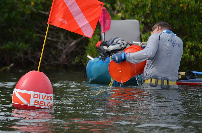 Steve Traves finds a scallop and brings it back to his kayak.
