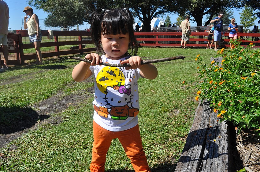 Erin Doyle played with some sticks, but her favorite part of the festival was the farm animals.