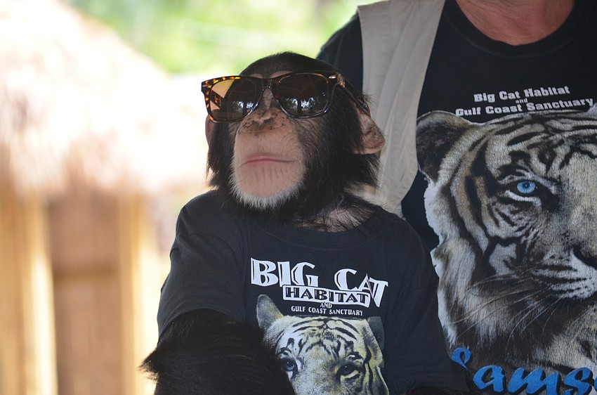 Chance stars alongside Leonardo DeCaprio in Scorseseâ€™s 