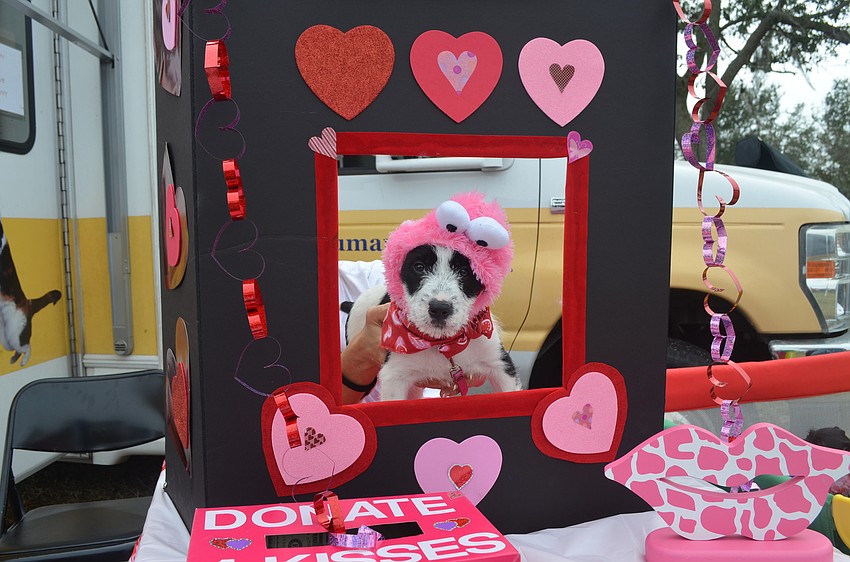 Bailey sits in the booth