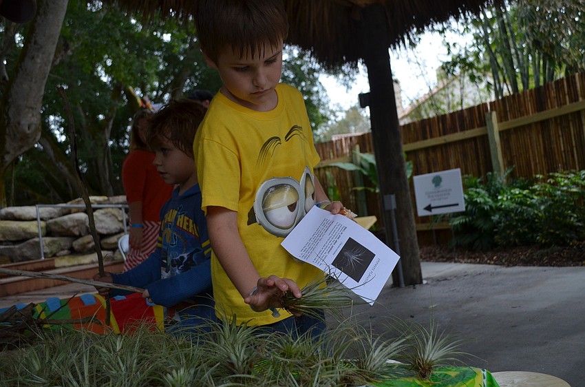 Austyn Cross chooses a plant to take home.