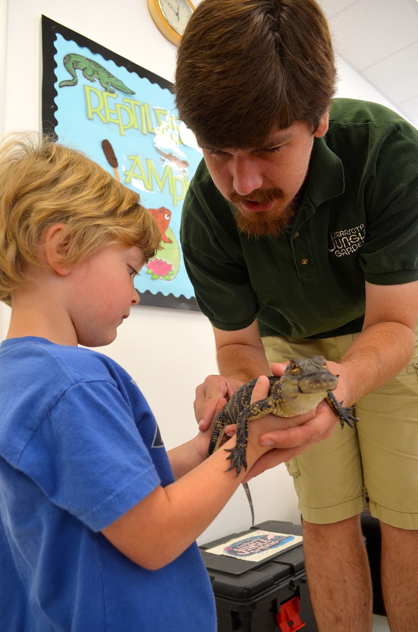 Four-year-old Mavrix Rolon pets a baby alligator, alongside Jeremiah Nichol.