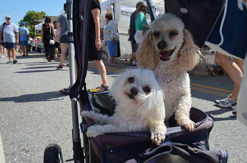 Katie Half Pint and Oscar De La Hoya