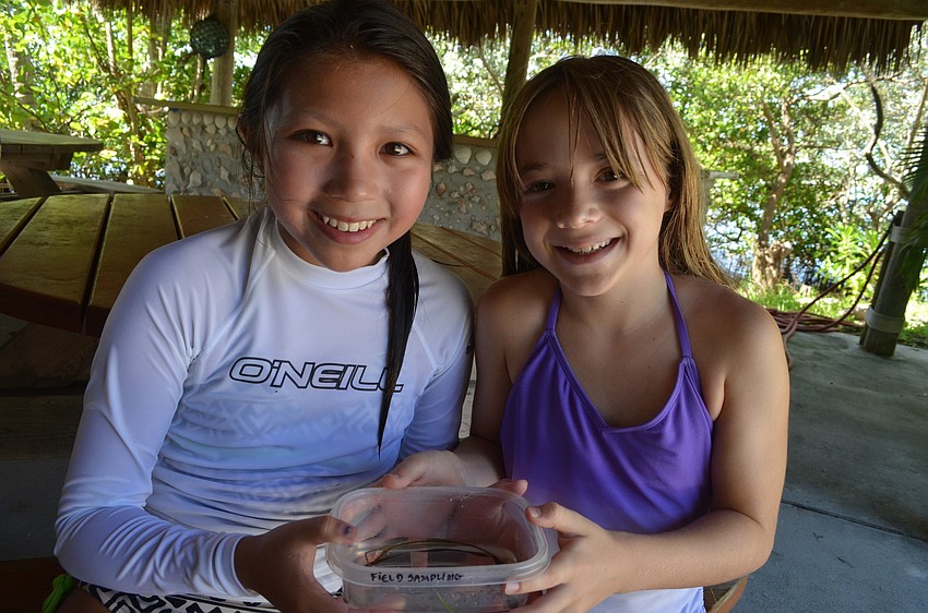 Halina Santos, 11, and Faith Moore, 10, examine a seahorse the children named Fuzzy.