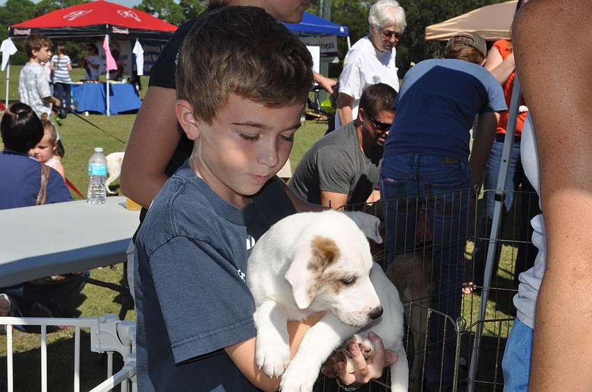 Gunner Maus plays with a puppy