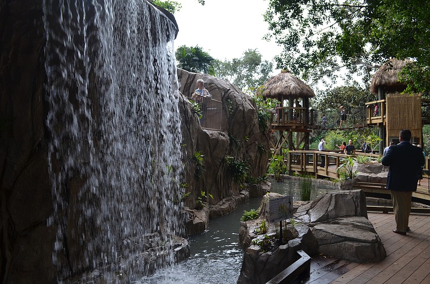 The rainforest includes a 12 foot waterfall