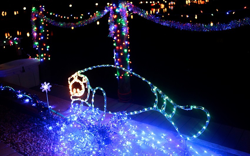 A manatee lit up a dock.