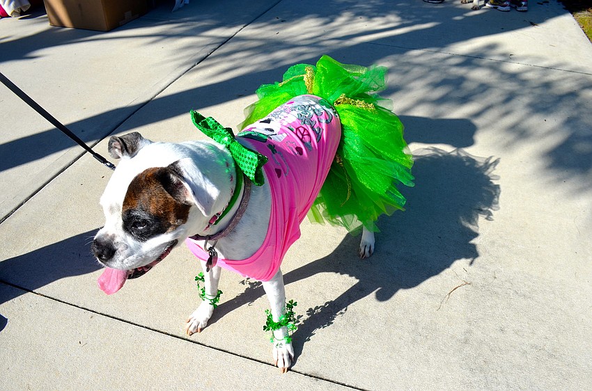 Coquina canâ€™t wait to take off her costume.