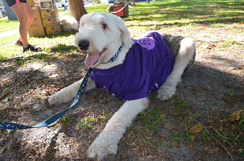 Max wears his March of Dimes shirt to the walk.